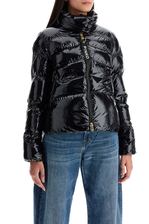 Pinko Pinko "crystal nylon down jacket"